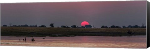 Framed River at Dusk, Chobe River, Botswana Print