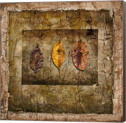 Framed Autumn Leaves I Print