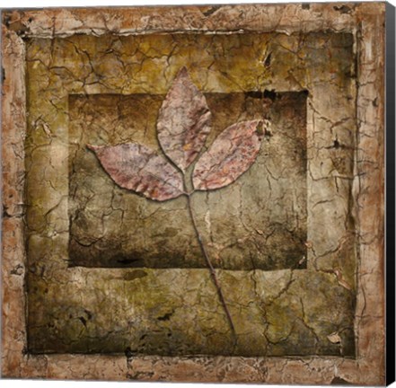 Framed Autumn Leaves II Print