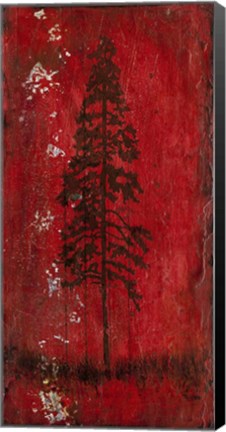 Framed Lodge Pole Pine Print