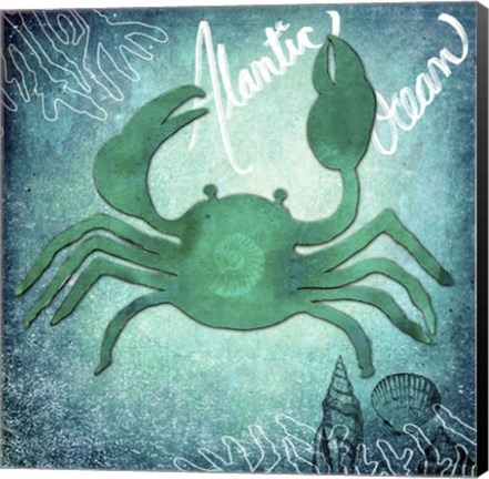 Framed Alantic Ocean Crab Print