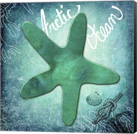 Framed Arctic Ocean Starfish Print