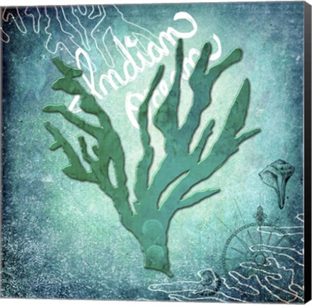 Framed Indian Ocean Coral Print