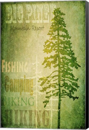 Framed Big Piney Print