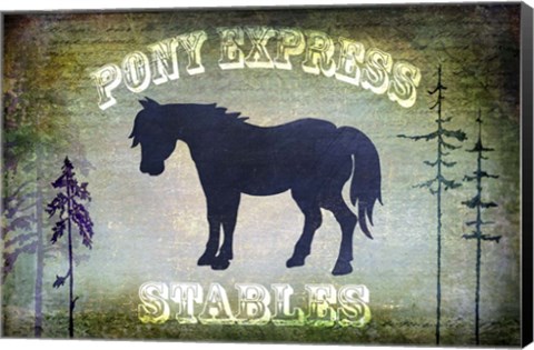 Framed Country Horse I Print