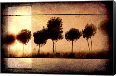 Framed For the Love of Trees I Print