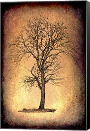 Framed For the Love of Trees II Print