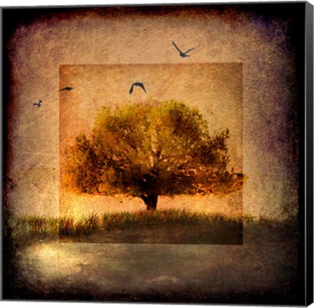 Framed For the Love of Trees III Print