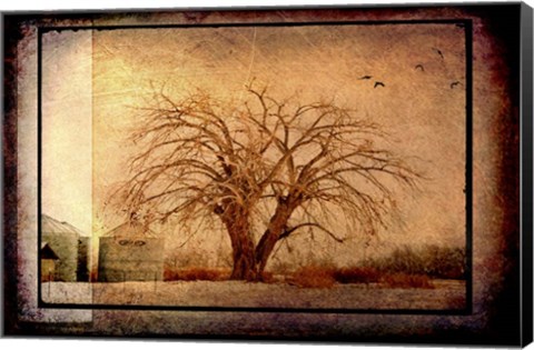 Framed For the Love of Trees IV Print