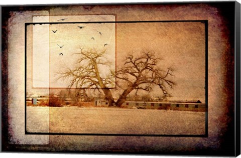 Framed For the Love of Trees V Print