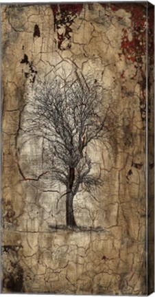 Framed Lone Tree Print