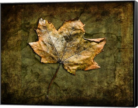 Framed Metallic Leaf 1 Print