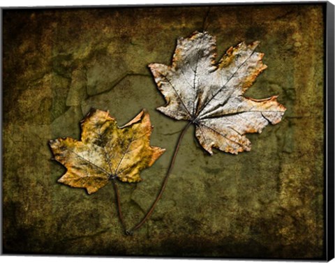 Framed Metallic Leaf 2 Print