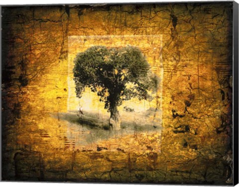 Framed Shadow Trees Print