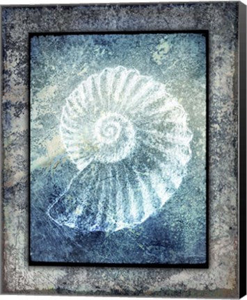 Framed Hello Beach Shell I Print