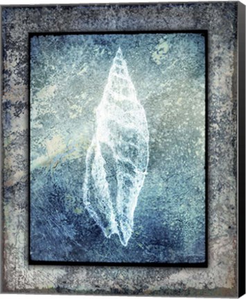 Framed Hello Beach Shell III Print