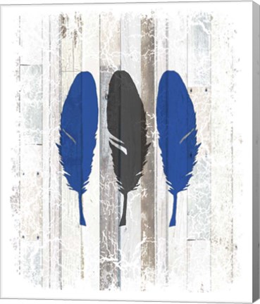 Framed Blue Moose - Feathers Print