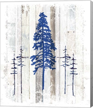 Framed Blue Moose - Lodge Pole Pine Print