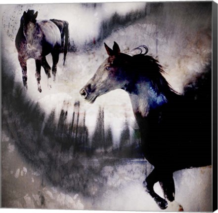 Framed Black Mare - Dream 1 Print