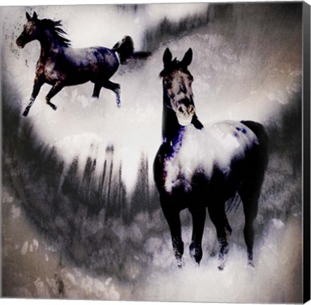 Framed Black Mare - Dream 2 Print