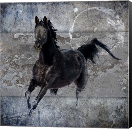 Framed Black Mare 1 Print