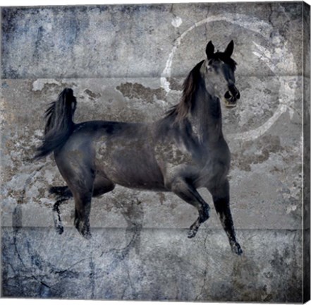 Framed Black Mare 2 Print