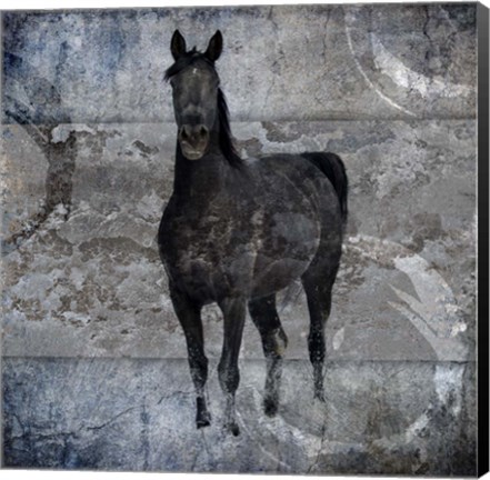 Framed Black Mare 3 Print