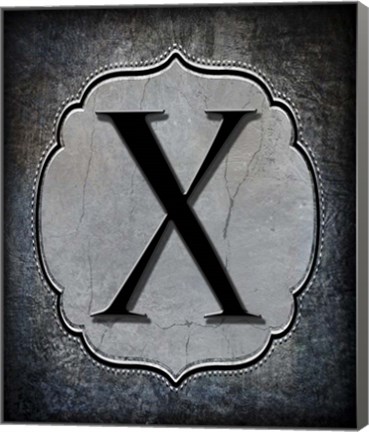 Framed Letter X Print