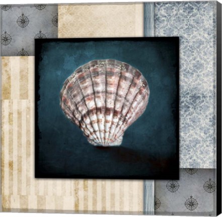 Framed Blue Sea Clam Shell 2 Print
