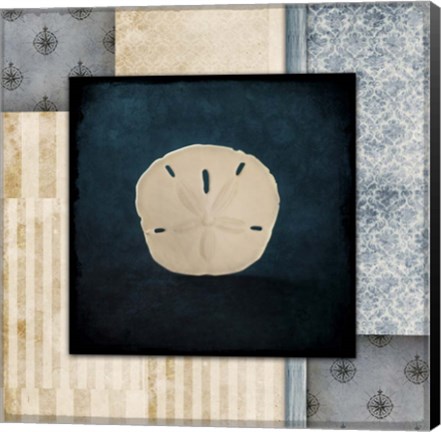 Framed Blue Sea Sand Dollar Print