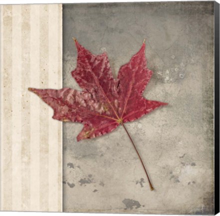 Framed Lodge Leaf 1 Print