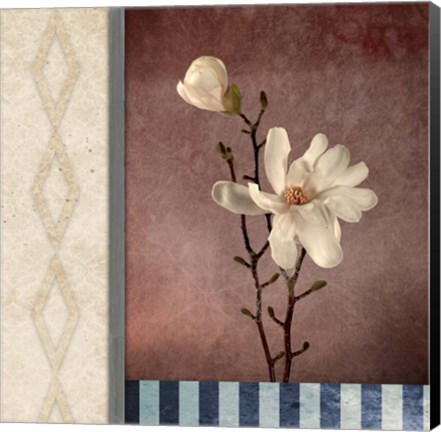 Framed Magnolia Diamond 2 Print