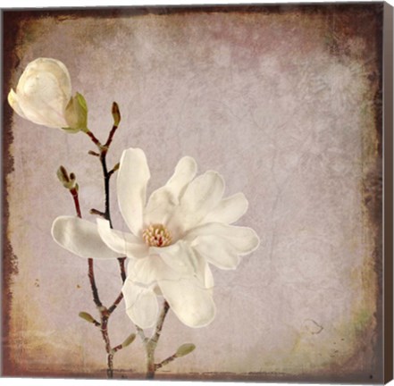Framed Paper Magnolia Duo Print