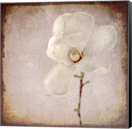 Framed Paper Magnolia Print