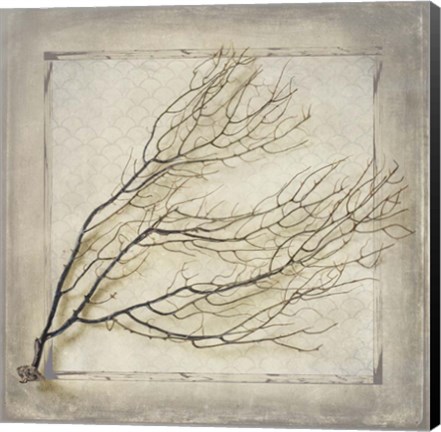 Framed Starfish Sea Leaf Print