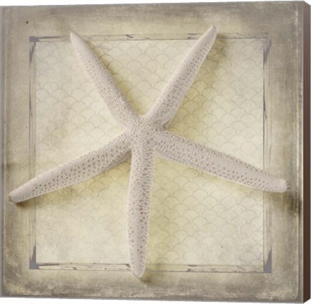 Framed Starfish Print