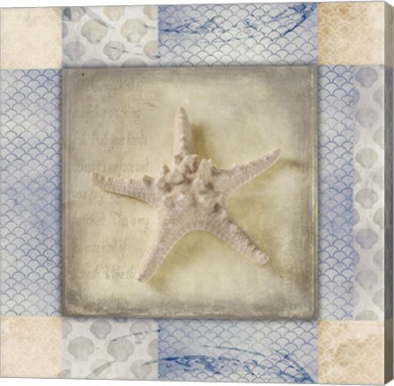 Framed White Sea Bumpy Star Print