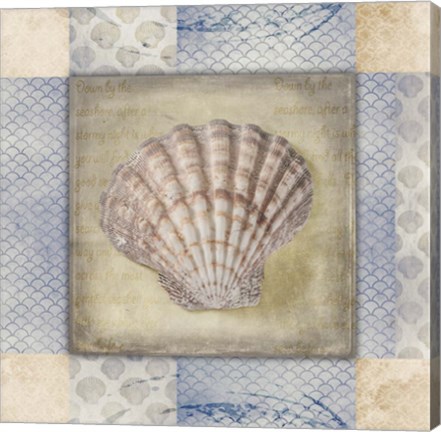 Framed White Sea Shell Print