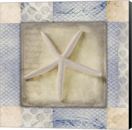 Framed White Sea Starfish Print