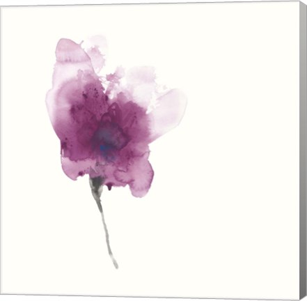 Framed Expressive Blooms II Print
