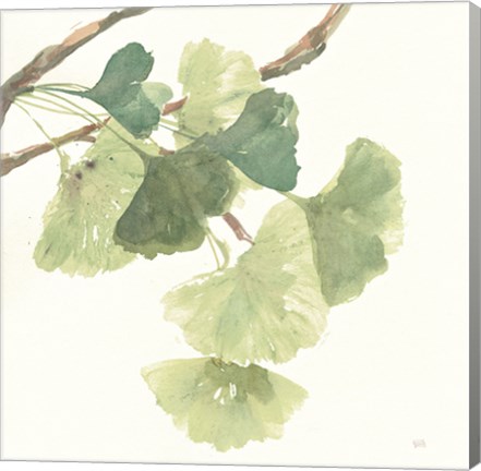 Framed Gingko Leaves I Light Print