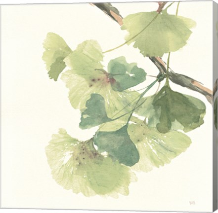 Framed Gingko Leaves II Light Print