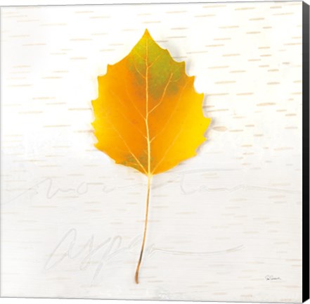 Framed Autumn Colors III Print