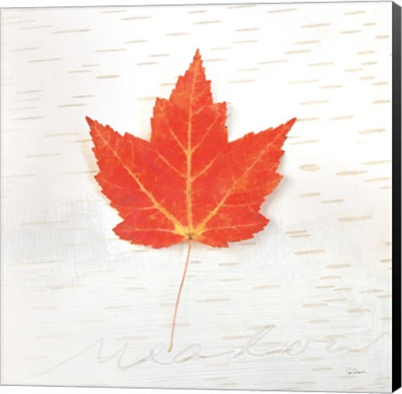 Framed Autumn Colors I Print
