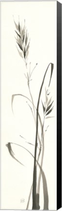 Framed Wild Grass II Print