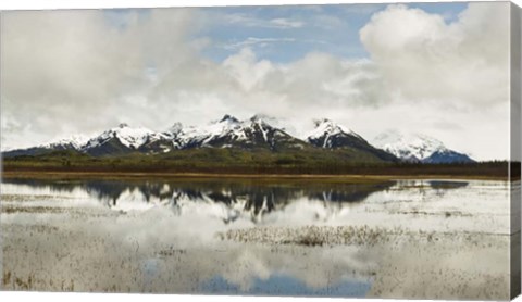 Framed Snowcapped Chugach Mountains in Copper River Delta, Chugach National Forest, Alaska Print