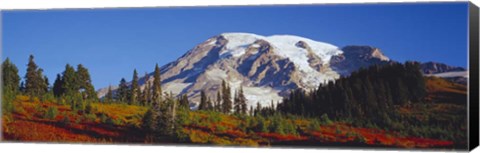 Framed Mt. Rainier and Fall Color, WA Print