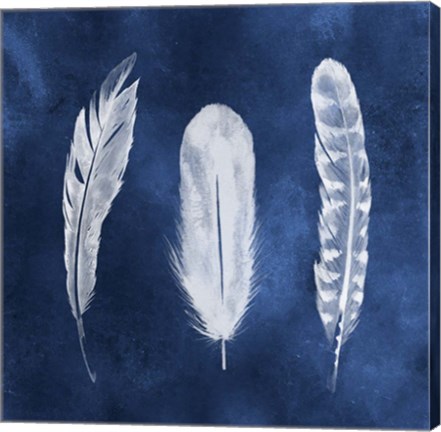 Framed Cyanotype Feathers I Print