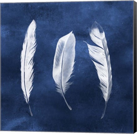 Framed Cyanotype Feathers II Print