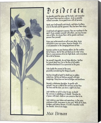 Framed Desiderata Blue Daguerreotype Print
